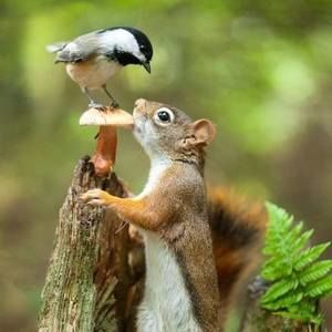 Meet your Posher, Jill